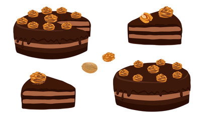 Chocolate cake with walnuts whole and cut portion. Cake cut sliced with cuttings. A piece of chocolate cake. Dessert close-up isolated on white background. Vector illustration.