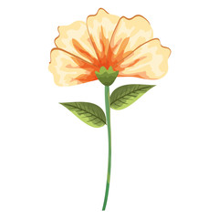 Naklejka premium tropical and exotic flower decorative vector illustration design