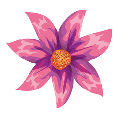 tropical and exotic flower decorative vector illustration design