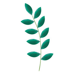 tropical leaf palm icon vector illustration design