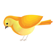 beautiful bird decorative icon vector illustration design