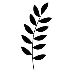 tropical leaf palm icon vector illustration design