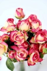 Beautiful bouquet of pink roses in a metal vase  