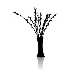 Realistic vector illustration of pussy willow branches on a white background