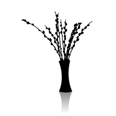 Realistic vector illustration of pussy willow branches on a white background © busurman