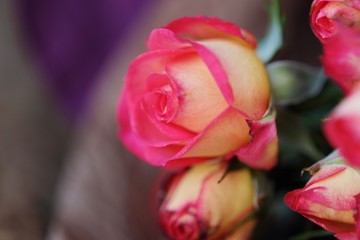 Beautiful bouquet of pink roses on the table  