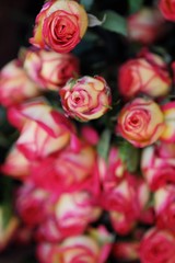 Beautiful bouquet of pink roses on the table  