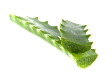 aloe leaf isolated on white background