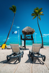 Palm tree on the tropical beach