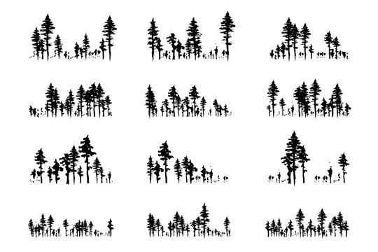 Download 109 729 Best Tree Line Silhouette Images Stock Photos Vectors Adobe Stock