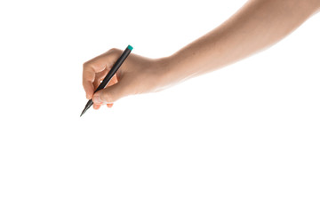 Male hand writing with the marker or felt pen. Isolated on white background.