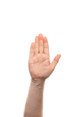 Man with open hand gesture. Isolated on white background.