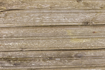 Fototapeta premium wooden backgrounds