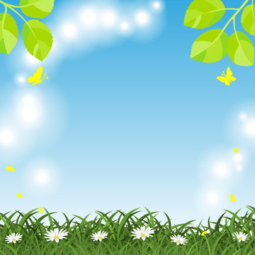 Shining Spring background with juicy green grass and daisy flowers and flying butterflies.