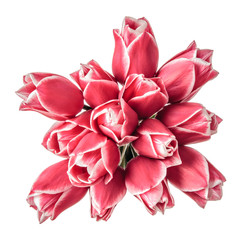 Bouquet of pink tulip flowers isolated on a white background