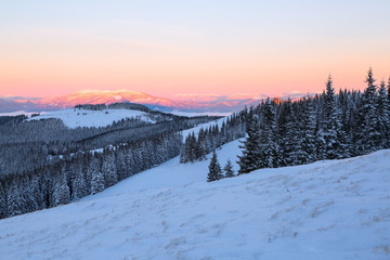 From the lawn, covered with snow, a panoramic view of the covered with frost trees, fog, tall, steep mountains, an interesting sunrise with a pink sky. Good winter day.