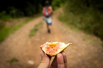 In Natura © Cristiano