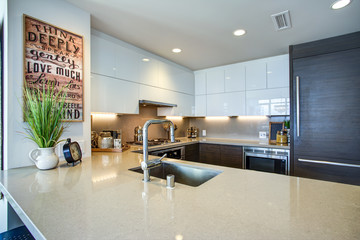 Modern spacious chef's kitchen design with white and black accents