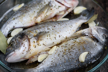 Dorado fish on a glass dish for baking, wooden background