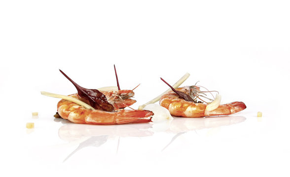 Culinar sea food gamba dish on white background