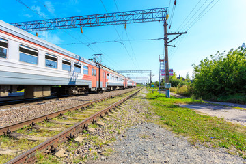 Obraz premium Train going between trees on a sunny day