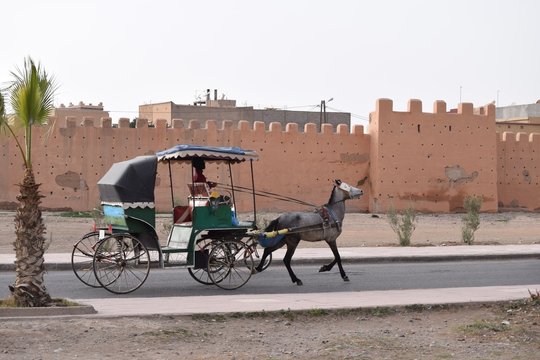 Pferdekutsche vor der Stadtmauer von Taroudant, dem &ouml;stlichen Zentrum der fruchtbaren Souss-Ebene in Marokko, in schneller Fahrt