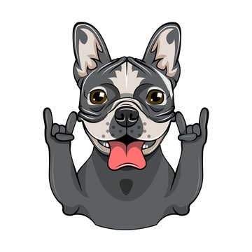 Cartoon Bull Dog giving gesture horns. Vector illustration isolated on white
