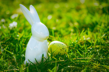 Osterhase sitzt in Wiese mit Osterei