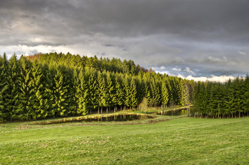 Last sunbeams after a rainy day over spruce forests and ponds in the Belgian Ardennes