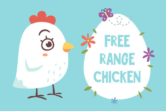 vector cartoon style free range chicken illustration on a blue background