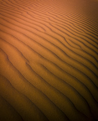 Dune landscape, La Pampa , Argentina