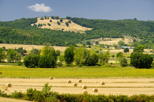 Summer landscape near Perugia