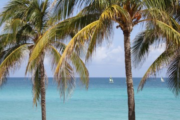 Fototapeta na wymiar Karibikstrand mit Palmen und Sand in Varadero, Kuba