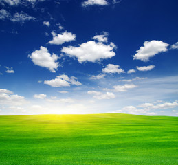 Obraz na płótnie Canvas Green field and sun.