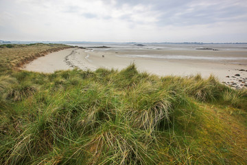 Fototapeta na wymiar Sand beach and dunes covered with green grass in the north of Brittany at low tide, France