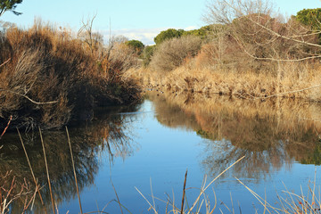 Lake and reflections