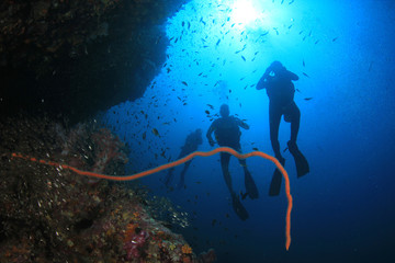 Fototapeta na wymiar Scuba dive coral reef and fish