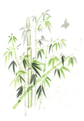 growing bamboo forest illustartion