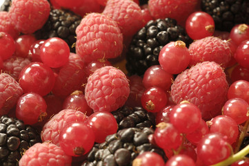 detail of a group of red berries