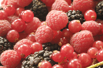 detail of a group of red berries