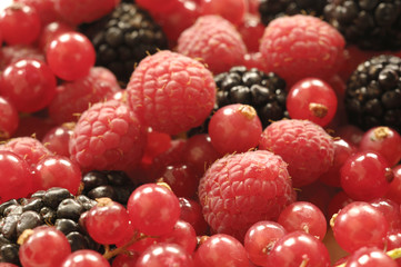 detail of a group of red berries