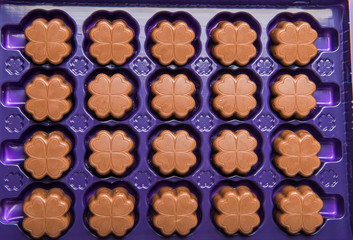 chocolate candy isolated