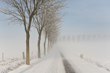 Trees with frozen mist create a magic scenery at the Flemish countryside