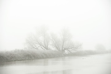 Magic foggy winter landscape at the Yser river in Diksmuide