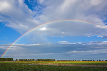 Bright rainbow in the high sky over the flood meadows of Normandy in spring day, France