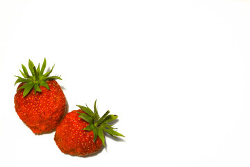 Two ripe strawberries isolated on white background