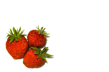 Three ripe strawberries isolated on a white background