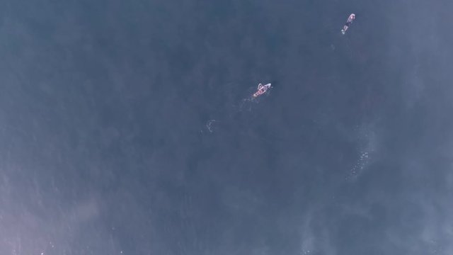 Aerial view of beach and ocean with waves and 2 surfers paddling water in Bali, Indonesia Asia