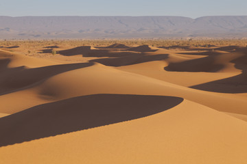 Arabian Sahara dunes in Morocco