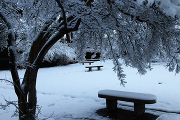 Neve a Roma